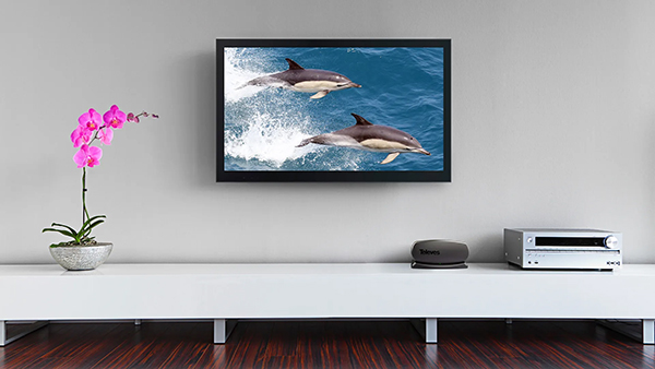 Televes Innova Boss Mix Smart HDTV Indoor Antenna